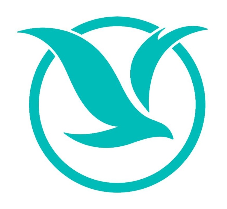 Serene Air logo
